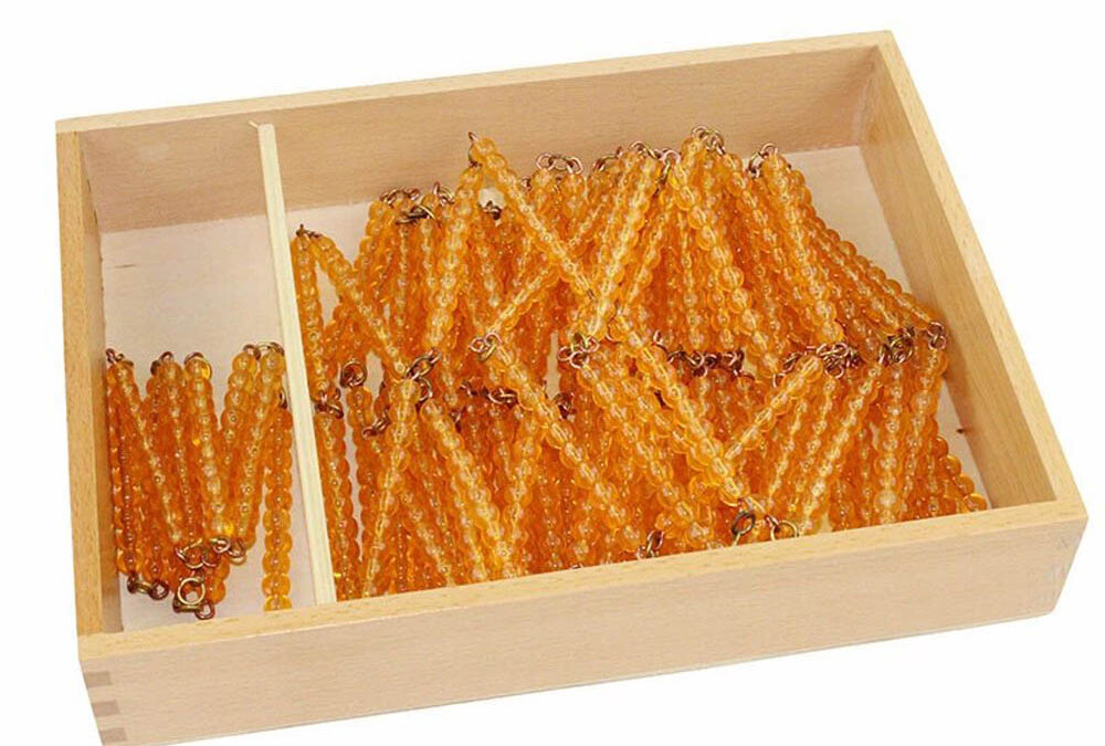 Prednaročilo Montessori Economy