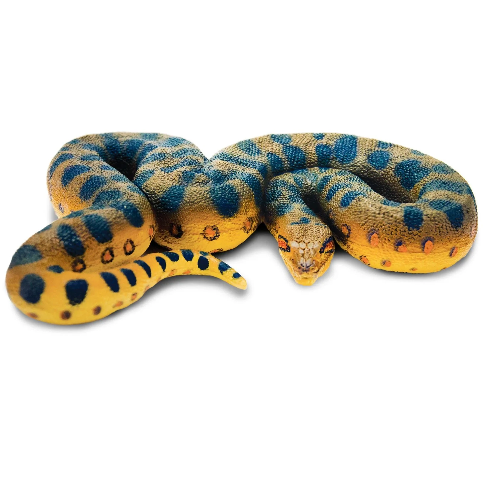 100688Anaconda