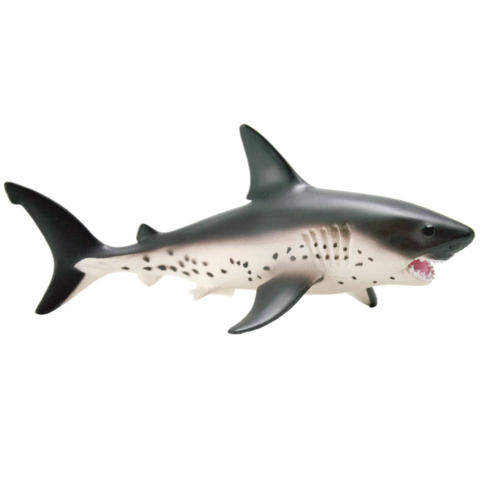 100690salmonShark