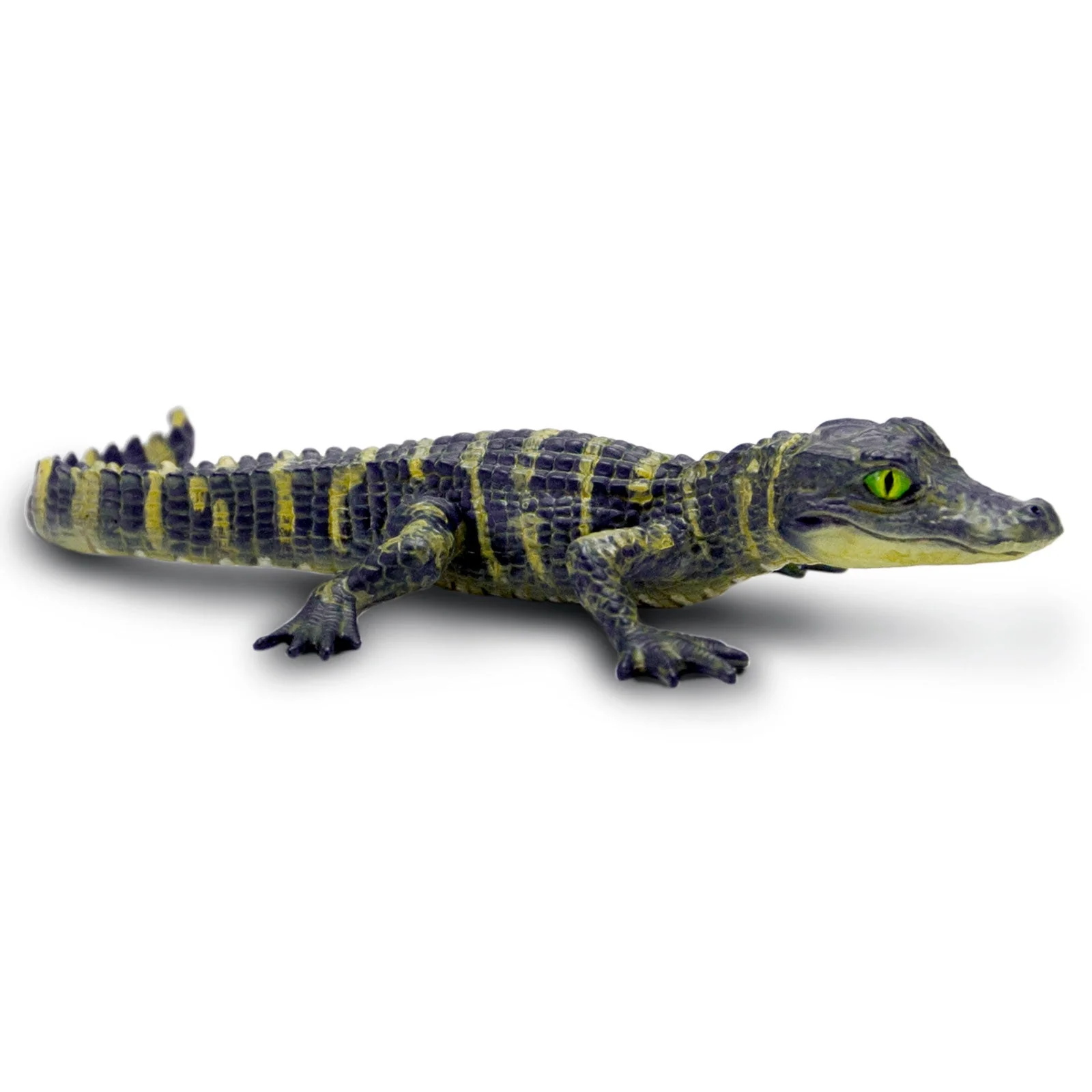 101073alligatorBaby